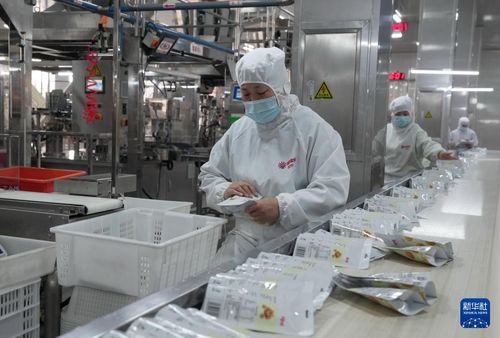 河北遵化 深耕农产品深加工，激活乡村振兴新引擎