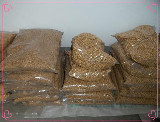 红色小容量料理机选购指南 干豆网络科技产品规格解读