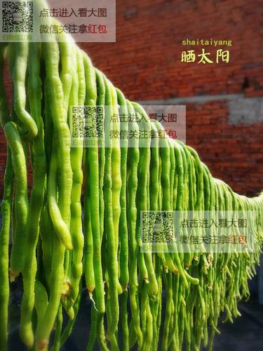 脱水蔬菜产品标识与品牌信息解析